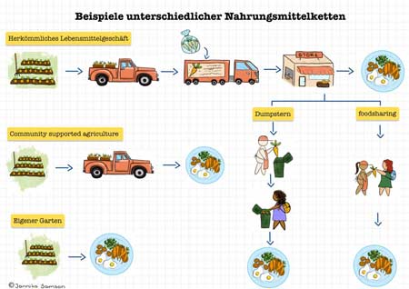 schaubild der nahrungsmittelketten